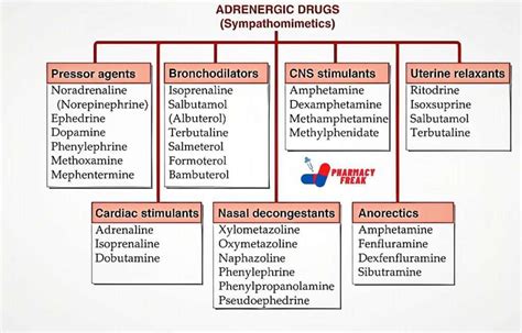 beta 3 adrenergic agonist|Beta3 Agonists: Drug Class, Uses, Side Effects, Drug Names .